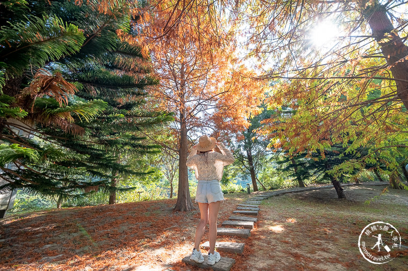 苗栗景點》南庄雲水度假森林│山中湖畔落羽松仙境