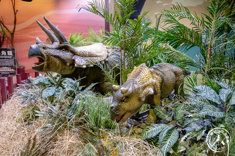 台北展覽》侏羅紀X恐龍水世界│搭獨木舟探險恐龍水陸世界