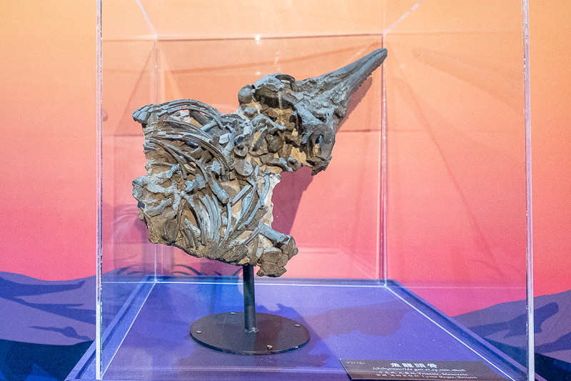 台北展覽》侏羅紀X恐龍水世界│搭獨木舟探險恐龍水陸世界