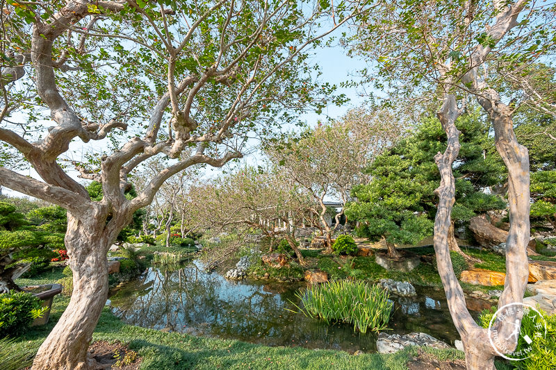 彰化景點》台灣銘園庭園美術館│中式園林與日式庭園結合之美