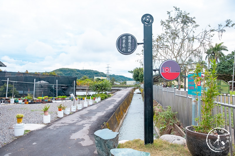 台中后里景點》泰安落羽松 新園區│水上落羽松秘境