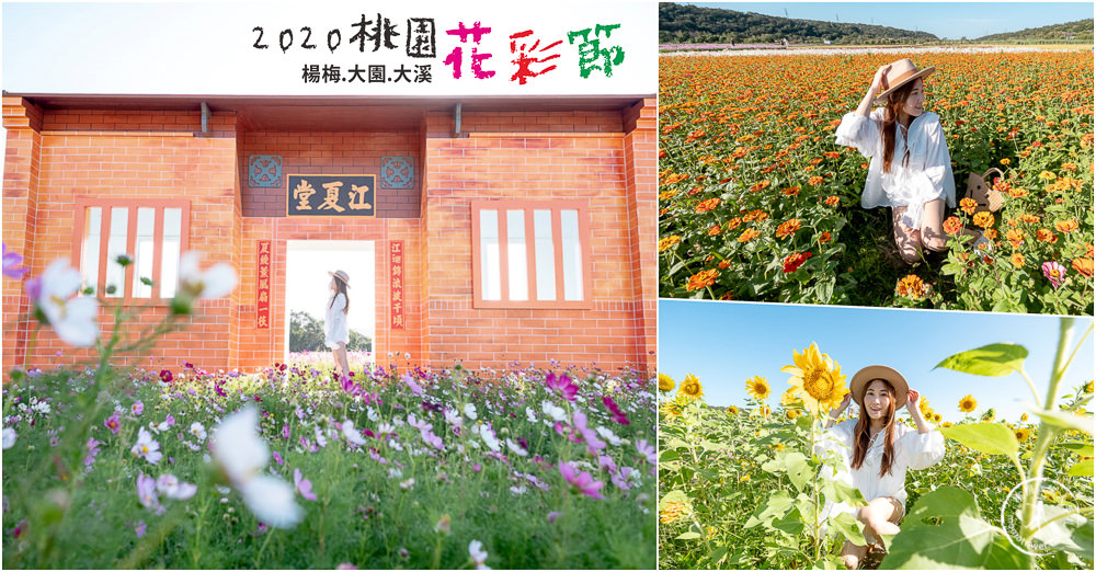 2020桃園花彩節》必看3大展區花海推薦:楊梅.大園.大溪│展區地點拍照攻略 2020桃園花彩節》必看3大展區花海推薦:楊梅.大園.大溪│展區地點拍照攻略