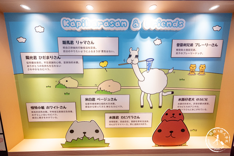 台北展覽》水豚君日日是好日 15周年特展│快來加入慵懶舒適圈