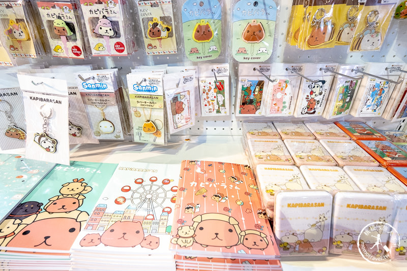 台北展覽》水豚君日日是好日 15周年特展│快來加入慵懶舒適圈