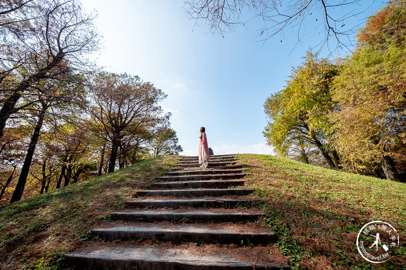 宜蘭羅東》羅東運動公園東丘落羽松│登上神秘的落羽松小島