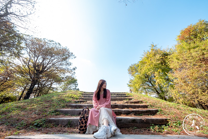 宜蘭羅東》羅東運動公園東丘落羽松│登上神秘的落羽松小島