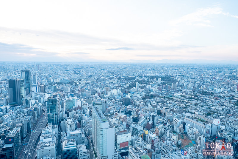 東京澀谷》SHIBUYA SKY展望台│必拍點.交通.門票.預約.時間攻略