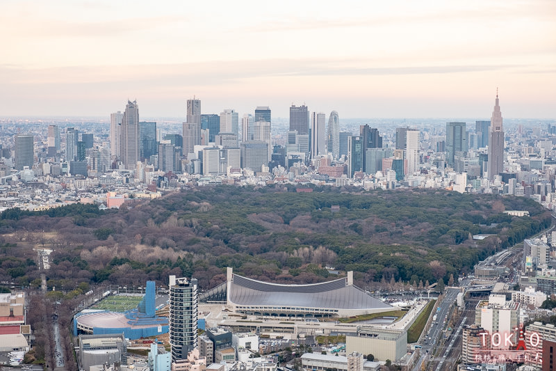 東京澀谷》SHIBUYA SKY展望台│必拍點.交通.門票.預約.時間攻略