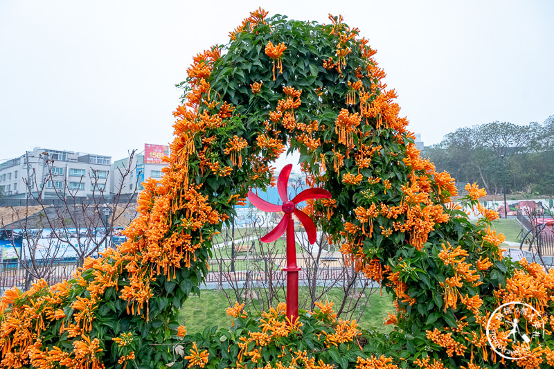 台北景點》炮仗花隧道×3D彩繪地景│鶯歌永吉公園賞花海