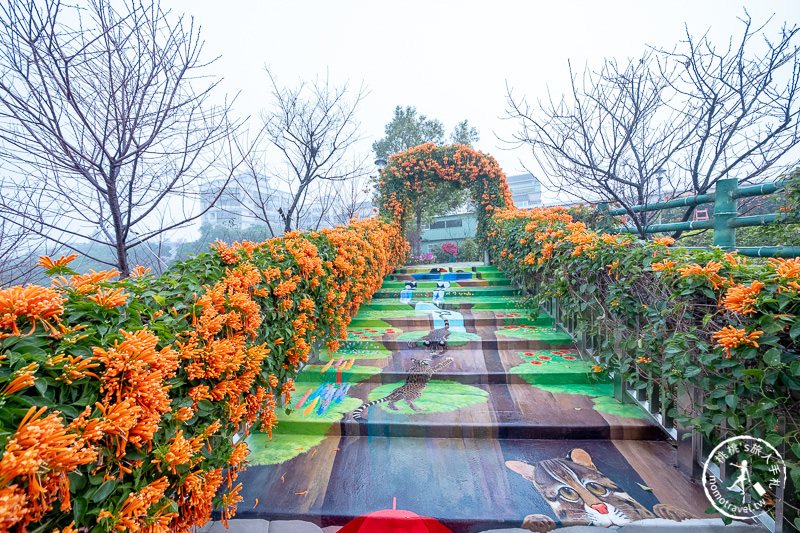 台北景點》炮仗花隧道×3D彩繪地景│鶯歌永吉公園賞花海