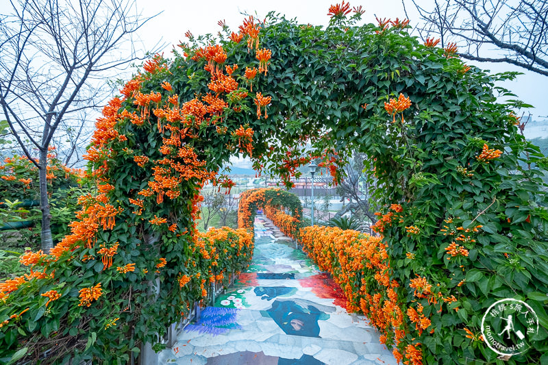 台北景點》炮仗花隧道×3D彩繪地景│鶯歌永吉公園賞花海