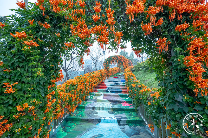 台北景點》炮仗花隧道×3D彩繪地景│鶯歌永吉公園賞花海