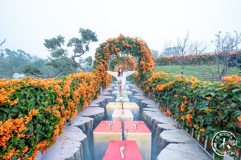 台北景點》炮仗花隧道×3D彩繪地景│鶯歌永吉公園賞花海