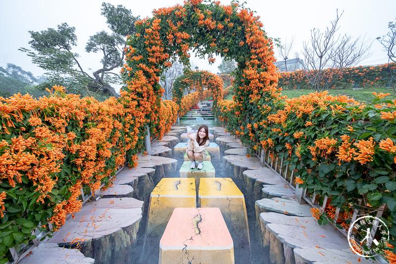台北景點》炮仗花隧道×3D彩繪地景│鶯歌永吉公園賞花海