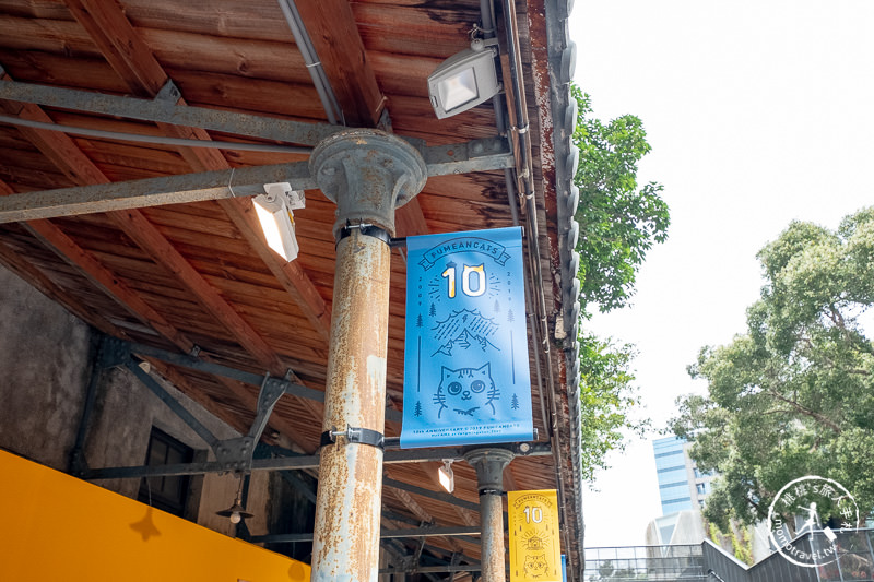 快閃店》黃阿瑪相遇十週年小店鋪│期間限定罐罐拍照牆 快打卡！