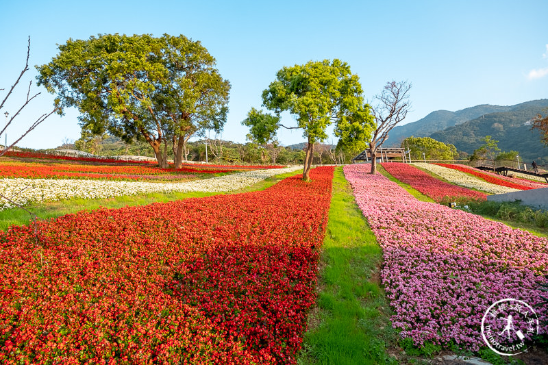 台北景點》北投社三層崎公園│日本富良野花海居然台灣就看得到！