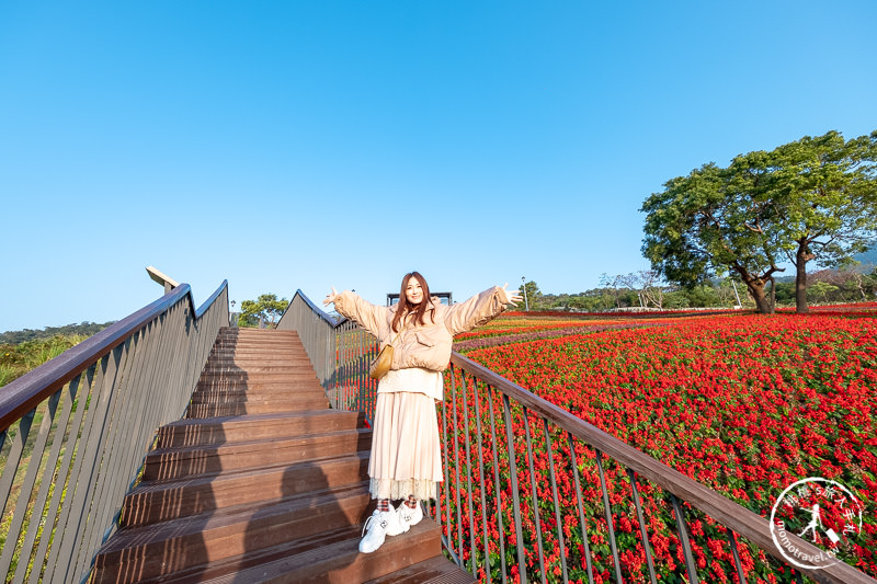 台北景點》北投社三層崎公園│日本富良野花海居然台灣就看得到！