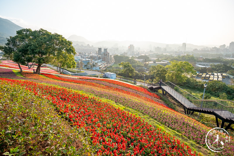 台北景點》北投社三層崎公園│日本富良野花海居然台灣就看得到！