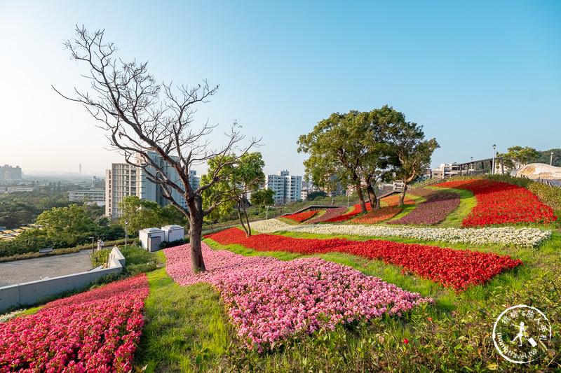 台北景點》北投社三層崎公園│日本富良野花海居然台灣就看得到！