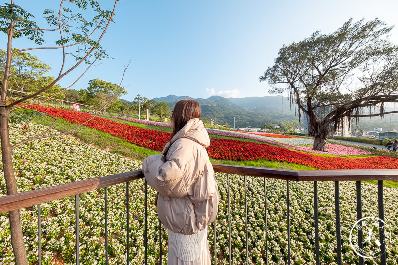 台北景點》北投社三層崎公園│日本富良野花海居然台灣就看得到！