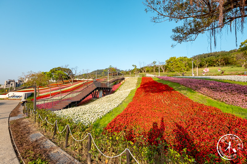 台北景點》北投社三層崎公園│日本富良野花海居然台灣就看得到！