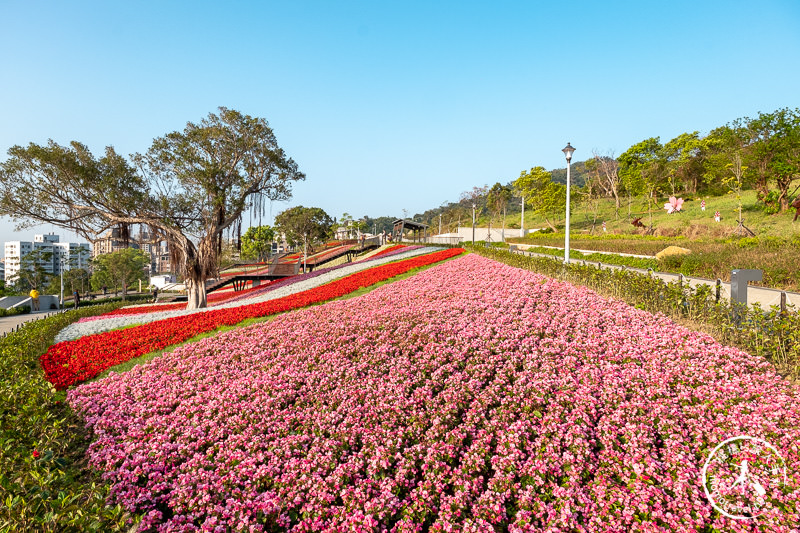 台北景點》北投社三層崎公園│日本富良野花海居然台灣就看得到！