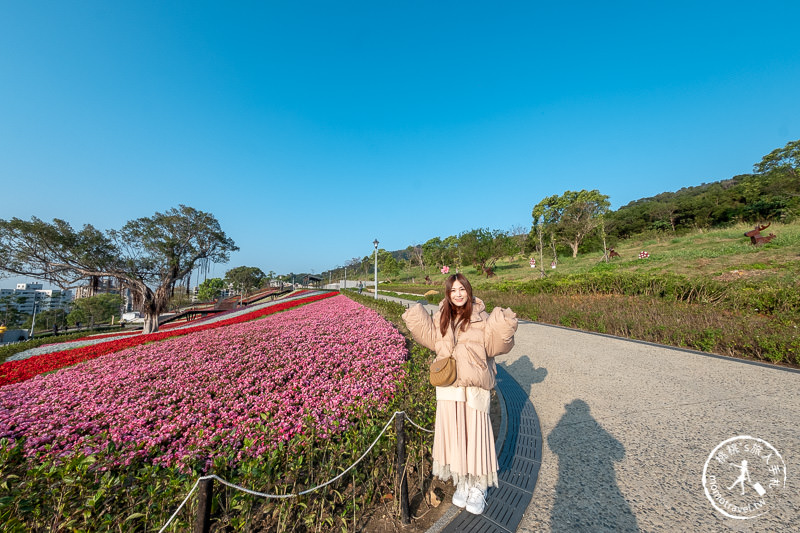 台北景點》北投社三層崎公園│日本富良野花海居然台灣就看得到！