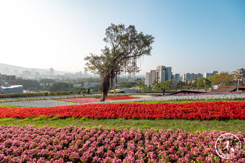 台北景點》北投社三層崎公園│日本富良野花海居然台灣就看得到！