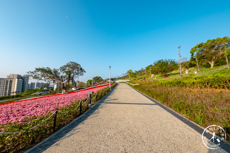 台北景點》北投社三層崎公園│日本富良野花海居然台灣就看得到！