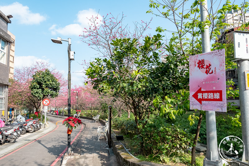 台北景點》汐止康誥坑溪畔櫻花大道│河畔賞櫻步道滿開中