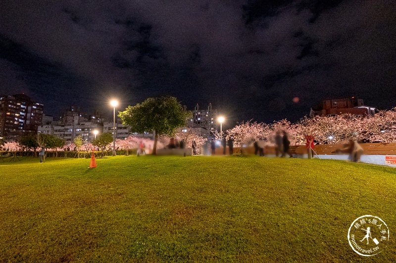 台北景點》內湖樂活夜櫻季│東湖櫻花林日夜都美麗