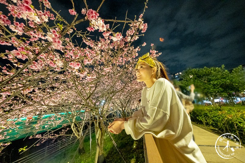 台北景點》內湖樂活夜櫻季│東湖櫻花林日夜都美麗