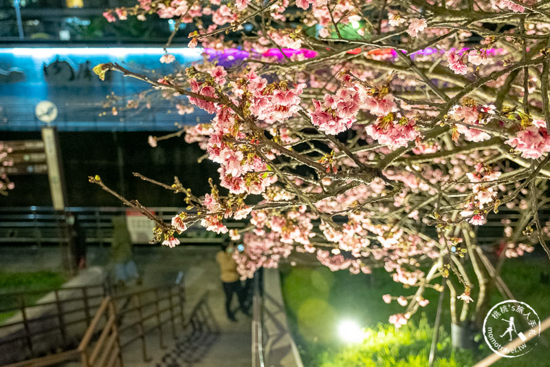 台北景點》內湖樂活夜櫻季│東湖櫻花林日夜都美麗