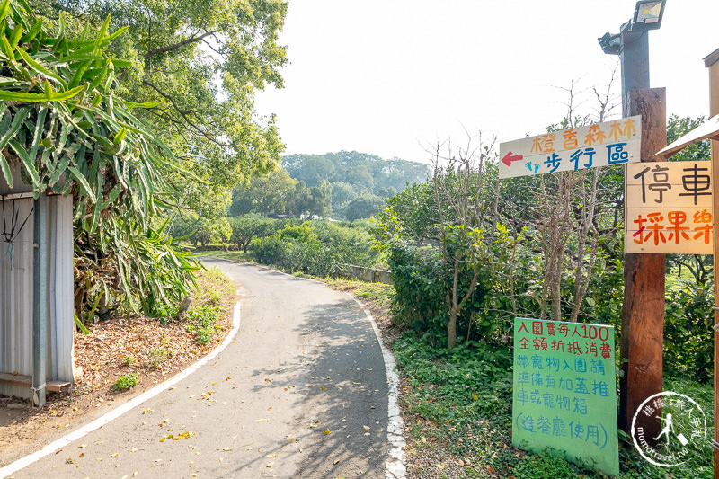 苗栗頭屋景點》橙香森林 最美的橘子園│原來採橘子還能這麼美！