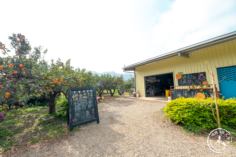 苗栗頭屋景點》橙香森林 最美的橘子園│原來採橘子還能這麼美！