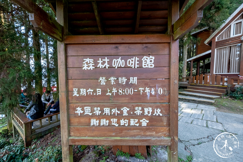 新竹賞櫻景點》山上人家森林農場│粉紅櫻花茶園雲海之美