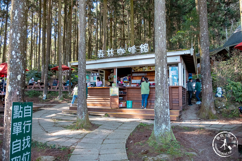 新竹賞櫻景點》山上人家森林農場│粉紅櫻花茶園雲海之美