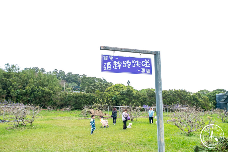 台北紫藤花景點》淡水紫藤咖啡園二店水源園區│2020花況.交通.門票.營業時間