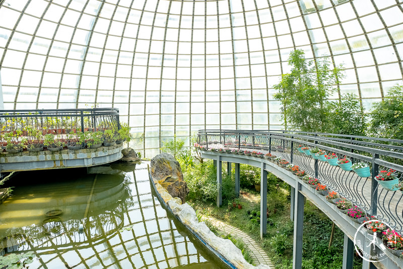 嘉義景點》新嘉大昆蟲館│蝴蝶翩舞的祕密花園(門票票價.停車.營業時間)