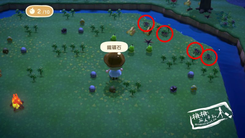 動物森友會》去趟狼蛛島直接變土豪?│密技攻略教學-Switch