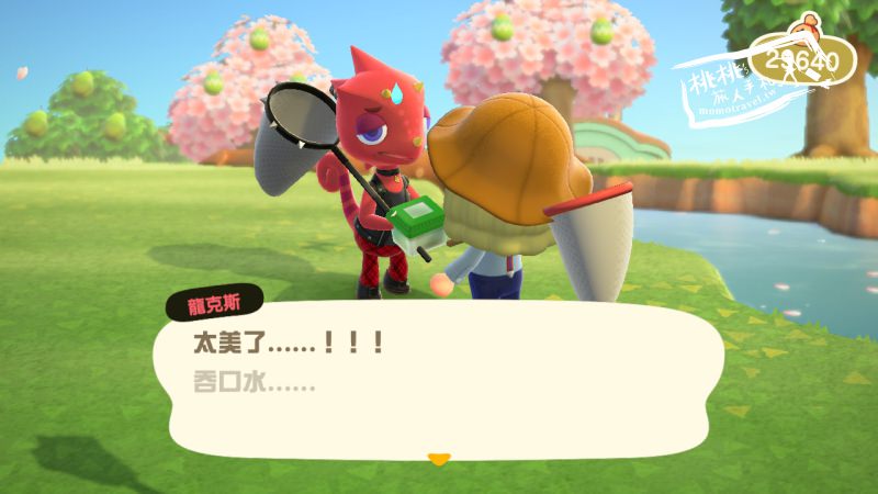 動物森友會》來了！龍克斯出現時間│密技攻略教學-Switch