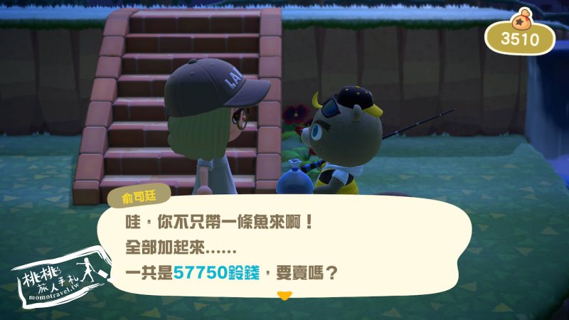 動物森友會》來了！俞司廷出現時間│密技攻略教學-Switch