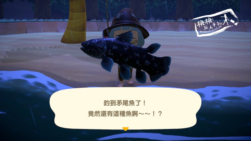 動物森友會》珍稀！矛尾魚出現啦！│密技攻略教學-Switch