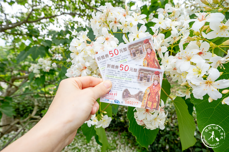 苗栗銅鑼景點》台灣影城媽祖村│賞桐花景點推薦 (貓貍影城.桐花樂園.客家大院)