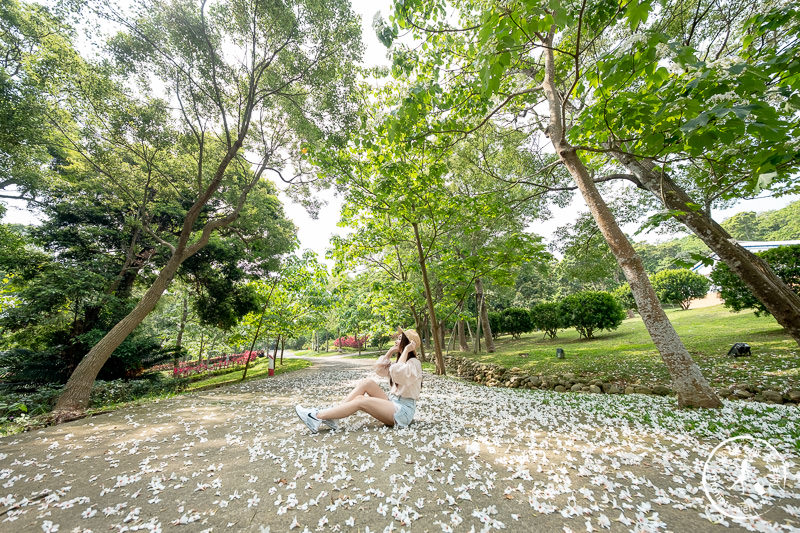 苗栗銅鑼景點》台灣影城媽祖村│賞桐花景點推薦 (貓貍影城.桐花樂園.客家大院)