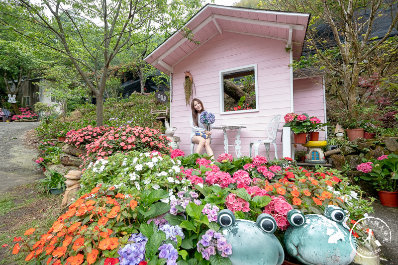 苗栗南庄景點》南庄碧絡角花園咖啡│相約繡球花開時走進森林