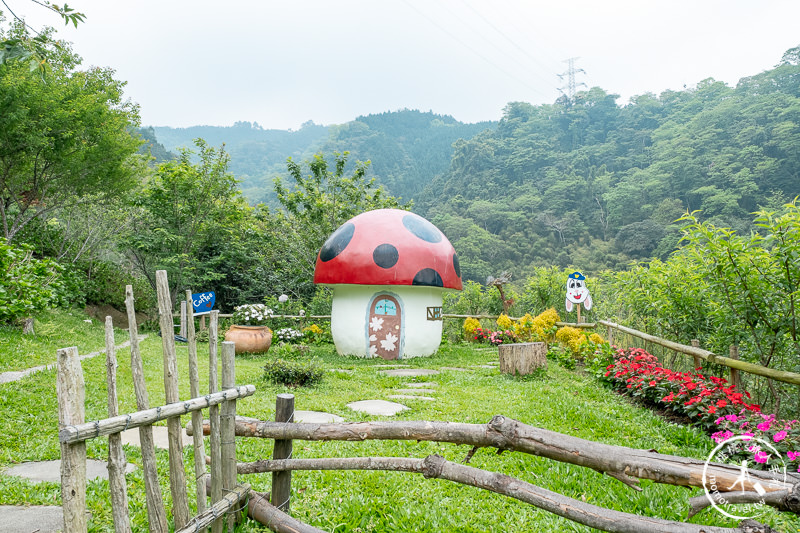 苗栗南庄景點》南庄碧絡角花園咖啡│相約繡球花開時走進森林