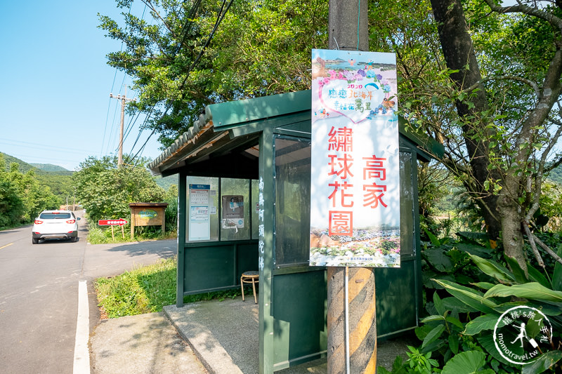 台北繡球花》高家繡球花田 萬里第三園區│2020最新花況分享