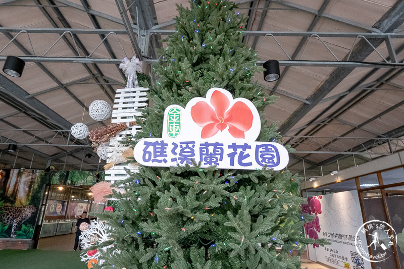 宜蘭礁溪景點》金車礁溪蘭花園│千坪蘭花基地免費參觀