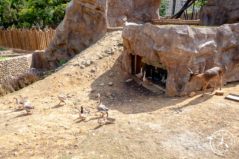 新竹景點》新竹市立動物園│大象門、噴水池 穿越80年的思念